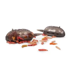 Korum Grub Feeders 90g Standaard