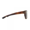 Avid Carp SeeThru TS Classic Polarised Sunglasses