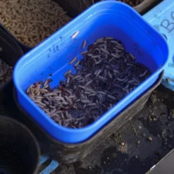 Cresta Baitstrainer -Vis en Kleding Winkel 3980056Cresta Baitstrainer 4